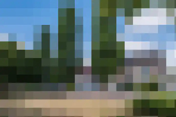 Willibrorduslaan 63 B Valkenswaard thumbnail 33