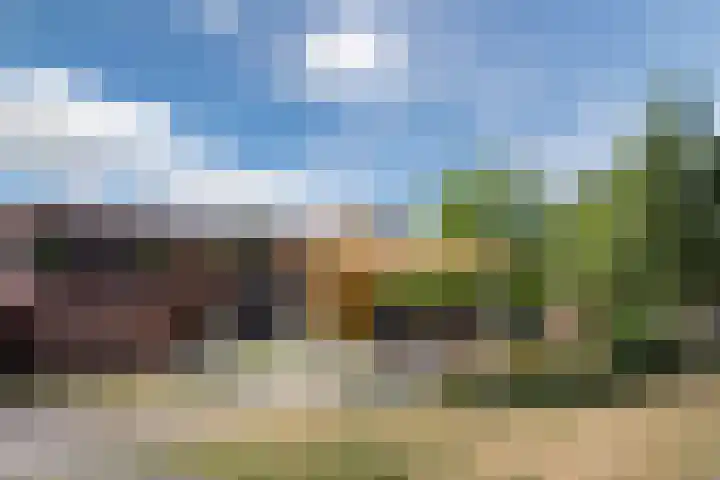 Willibrorduslaan 63 B Valkenswaard thumbnail 34