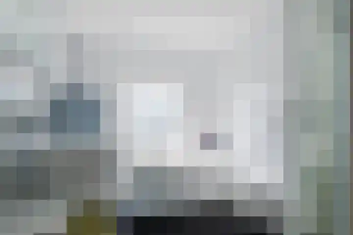 Willibrorduslaan 63 B Valkenswaard thumbnail 4