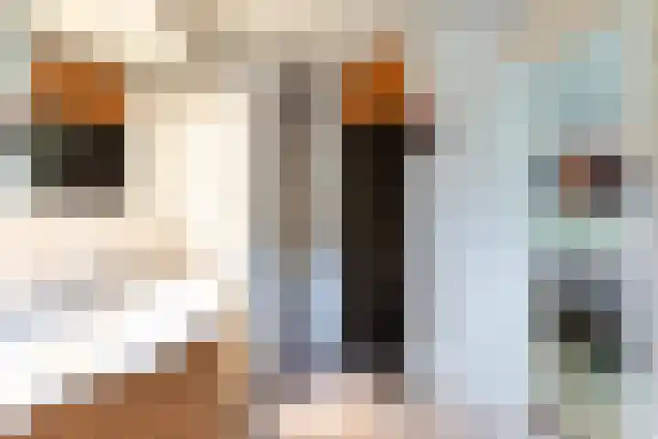 Willibrorduslaan 67 Waalre thumbnail 15