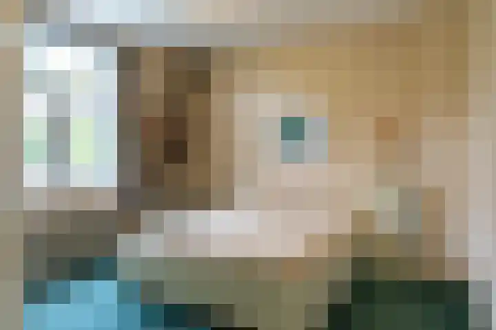 Willibrorduslaan 67 Waalre thumbnail 20
