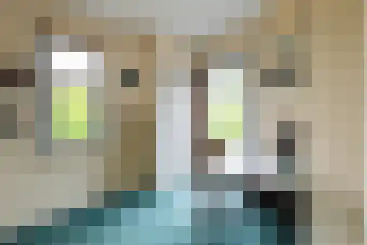 Willibrorduslaan 67 Waalre thumbnail 24