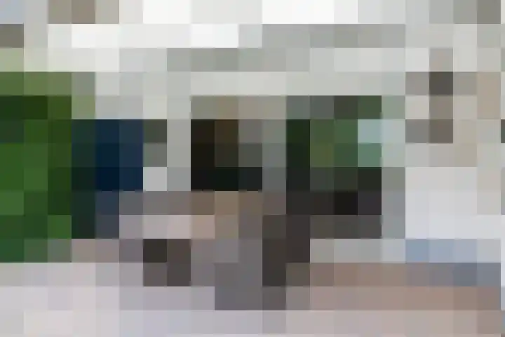Willibrorduslaan 67 Waalre thumbnail 30