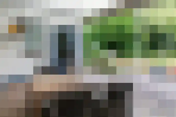 Willibrorduslaan 67 Waalre thumbnail 31
