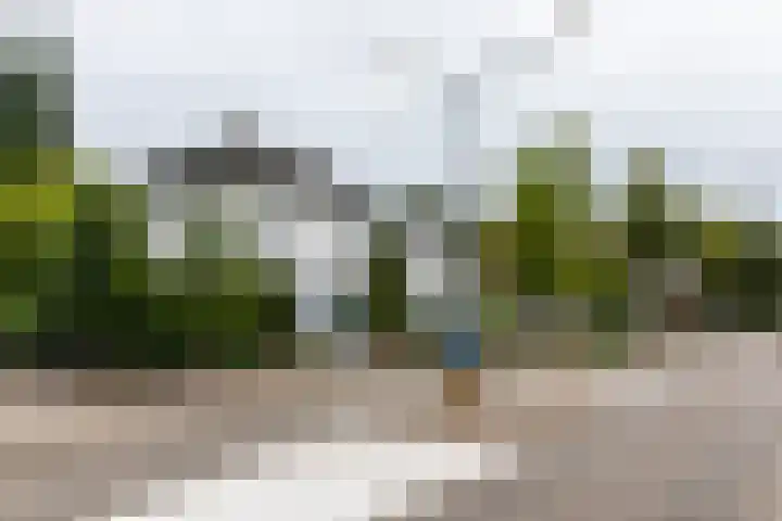 Willibrorduslaan 67 Waalre thumbnail 33