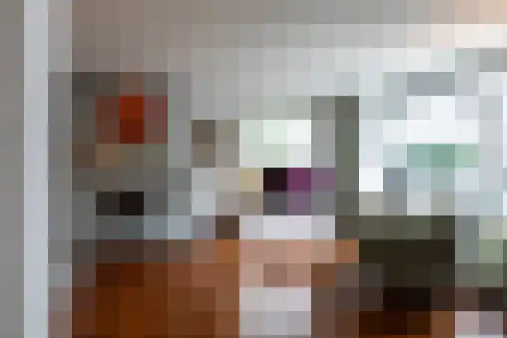 Willibrorduslaan 67 Waalre thumbnail 5