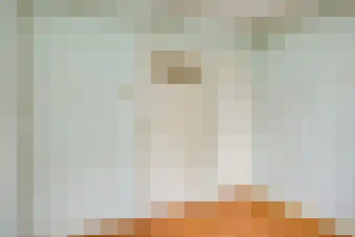 Willibrorduslaan 68 Valkenswaard thumbnail 31