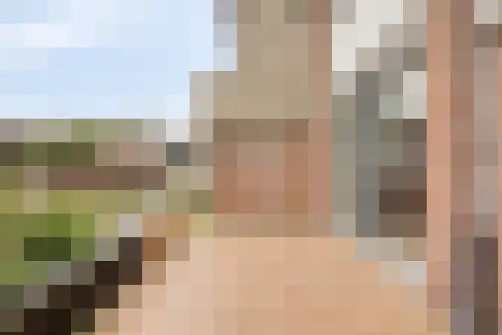Willibrorduslaan 68 Valkenswaard thumbnail 36