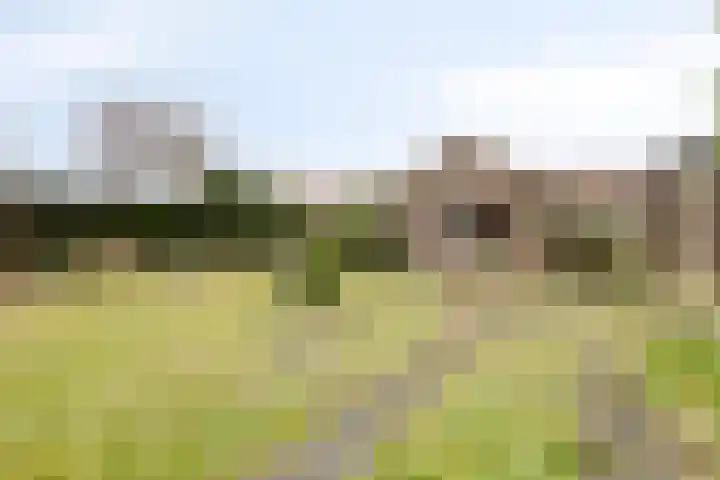 Willibrorduslaan 68 Valkenswaard thumbnail 38