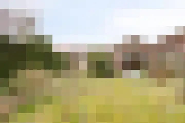 Willibrorduslaan 68 Valkenswaard thumbnail 39