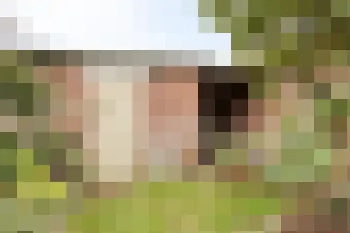 Willibrorduslaan 68 Valkenswaard thumbnail 40