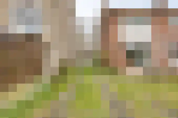 Willibrorduslaan 68 Valkenswaard thumbnail 42
