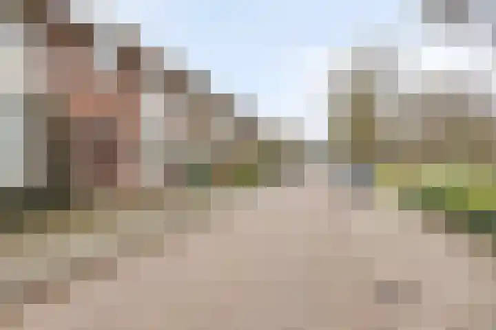Willibrorduslaan 68 Valkenswaard thumbnail 48