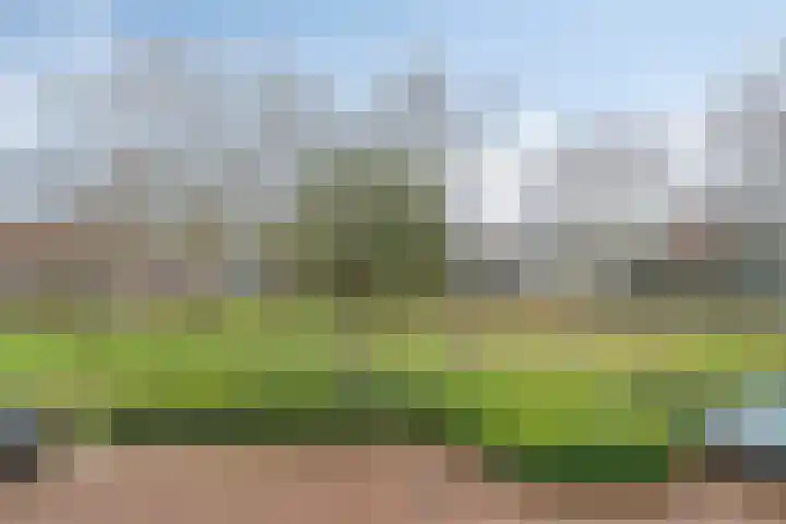 Willibrorduslaan 70 Valkenswaard thumbnail 23