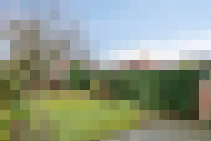 Willibrorduslaan 70 Valkenswaard thumbnail 24