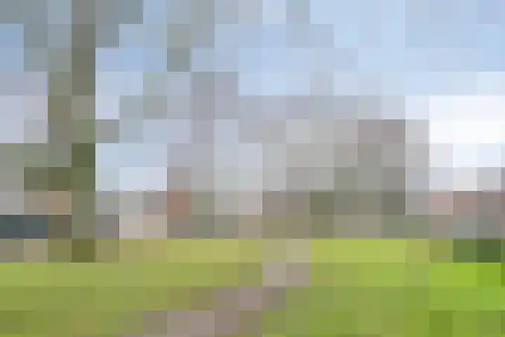 Willibrorduslaan 70 Valkenswaard thumbnail 28