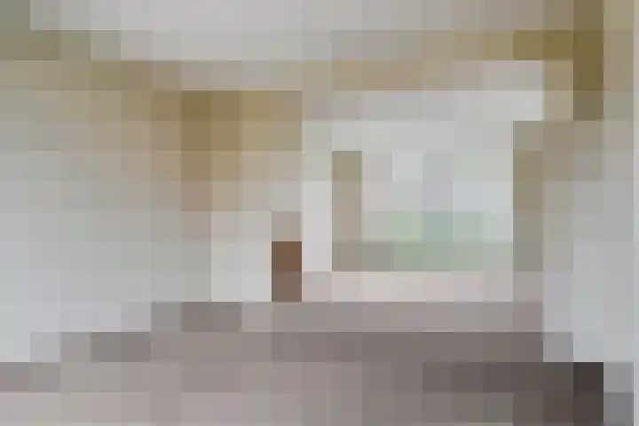 Willibrorduslaan 70 Valkenswaard thumbnail 5