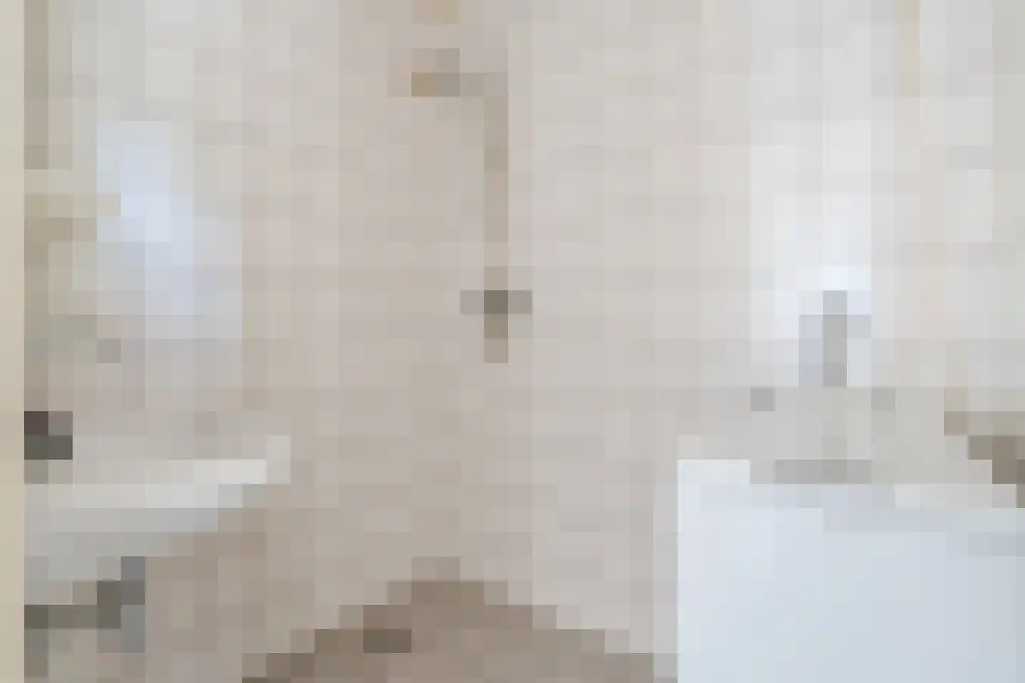 Willibrorduslaan 74 Eersel thumbnail 22