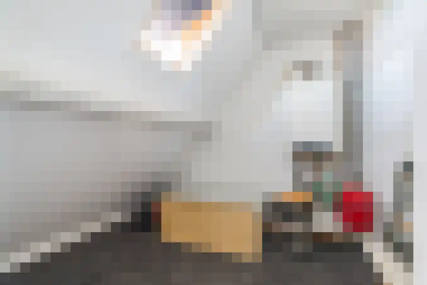 Willibrorduslaan 74 Eersel thumbnail 31