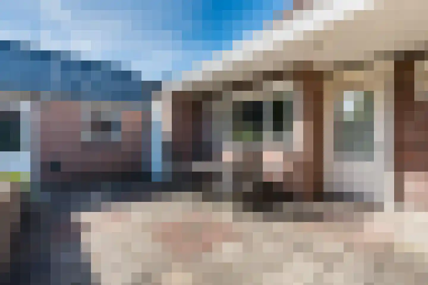 Willibrorduslaan 74 Eersel thumbnail 41