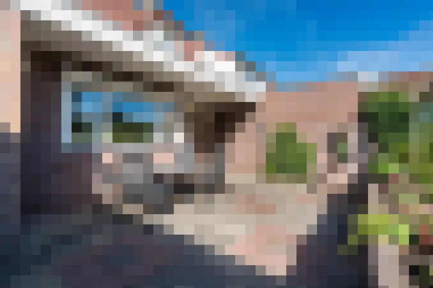 Willibrorduslaan 74 Eersel thumbnail 42