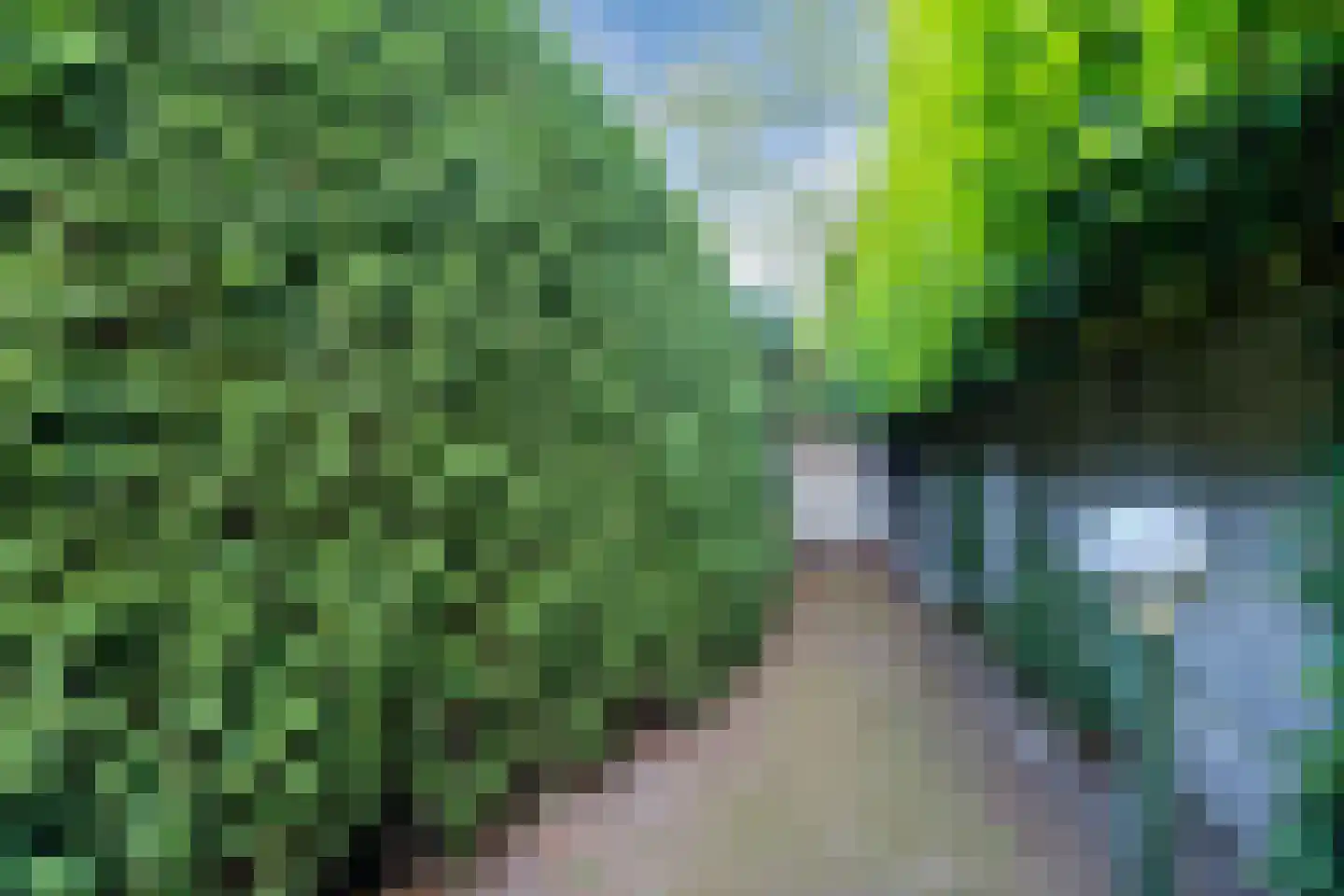 Willibrorduslaan 74 Eersel thumbnail 48