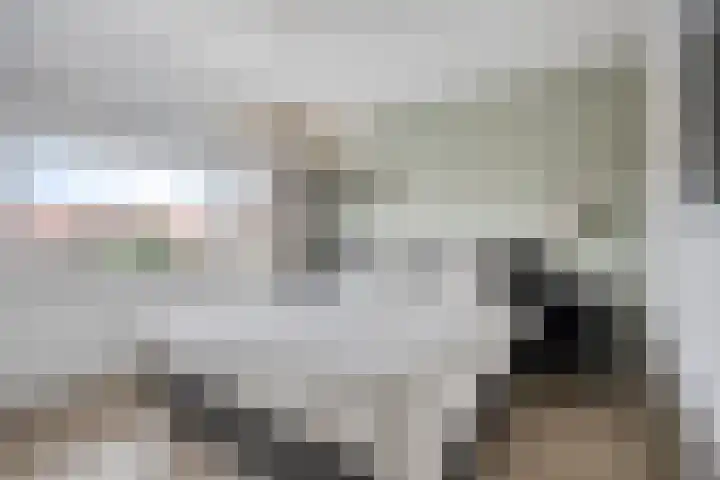 Willibrorduslaan 74 Valkenswaard thumbnail 18
