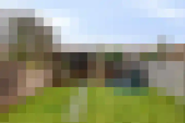 Willibrorduslaan 74 Valkenswaard thumbnail 24