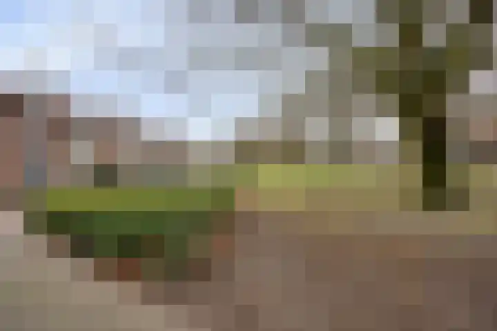 Willibrorduslaan 74 Valkenswaard thumbnail 31