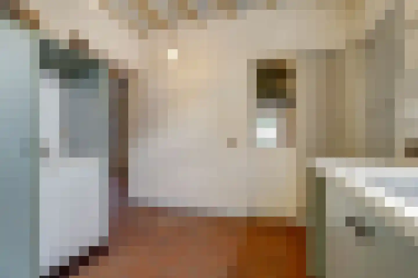 Willibrorduslaan 80 Eersel thumbnail 24