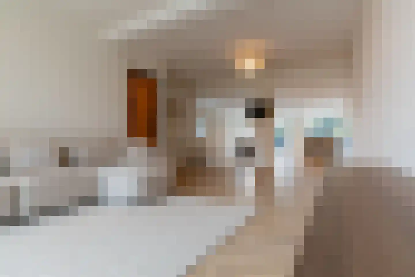 Willibrorduslaan 81 Waalre thumbnail 10