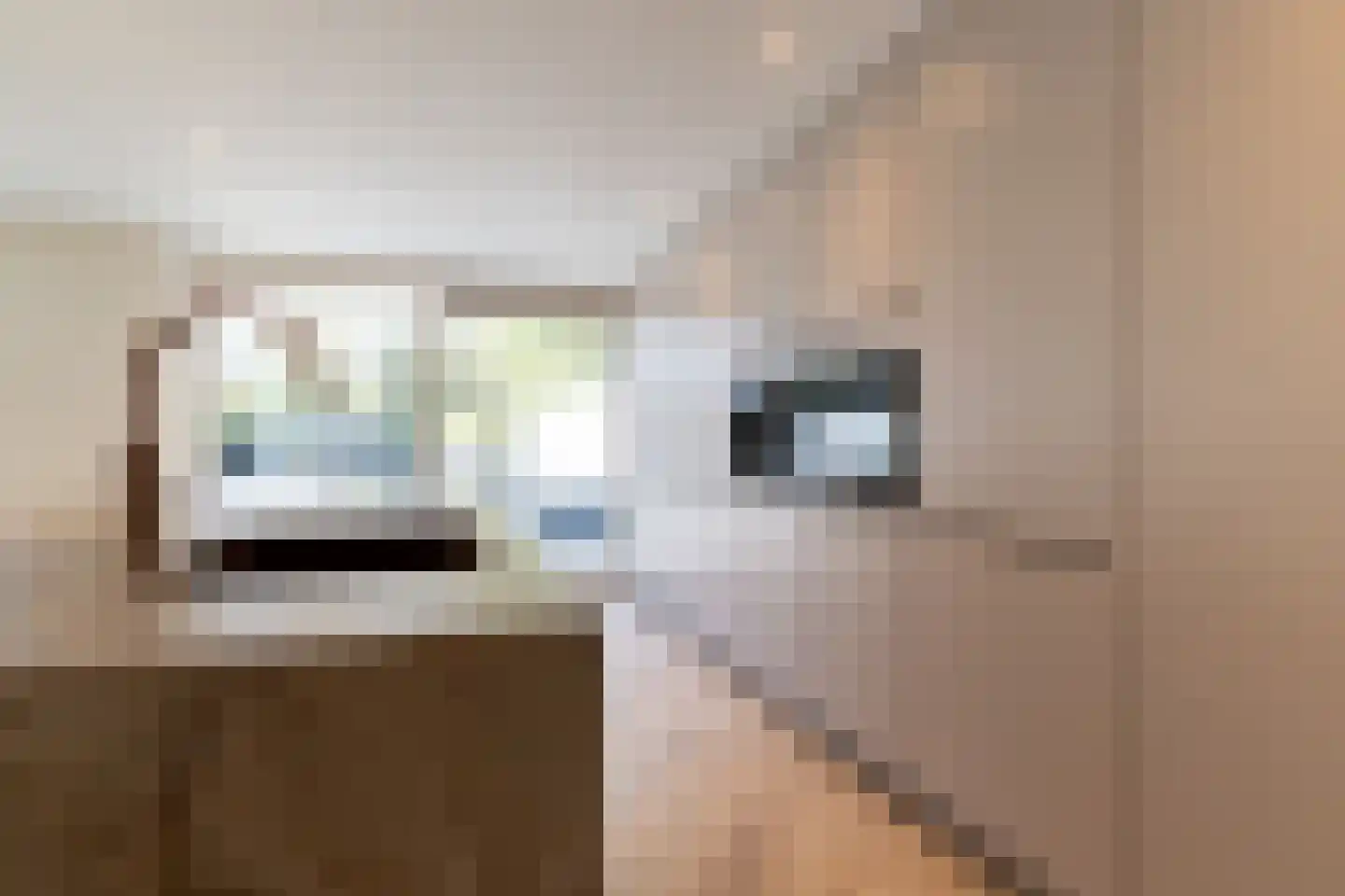 Willibrorduslaan 81 Waalre thumbnail 19