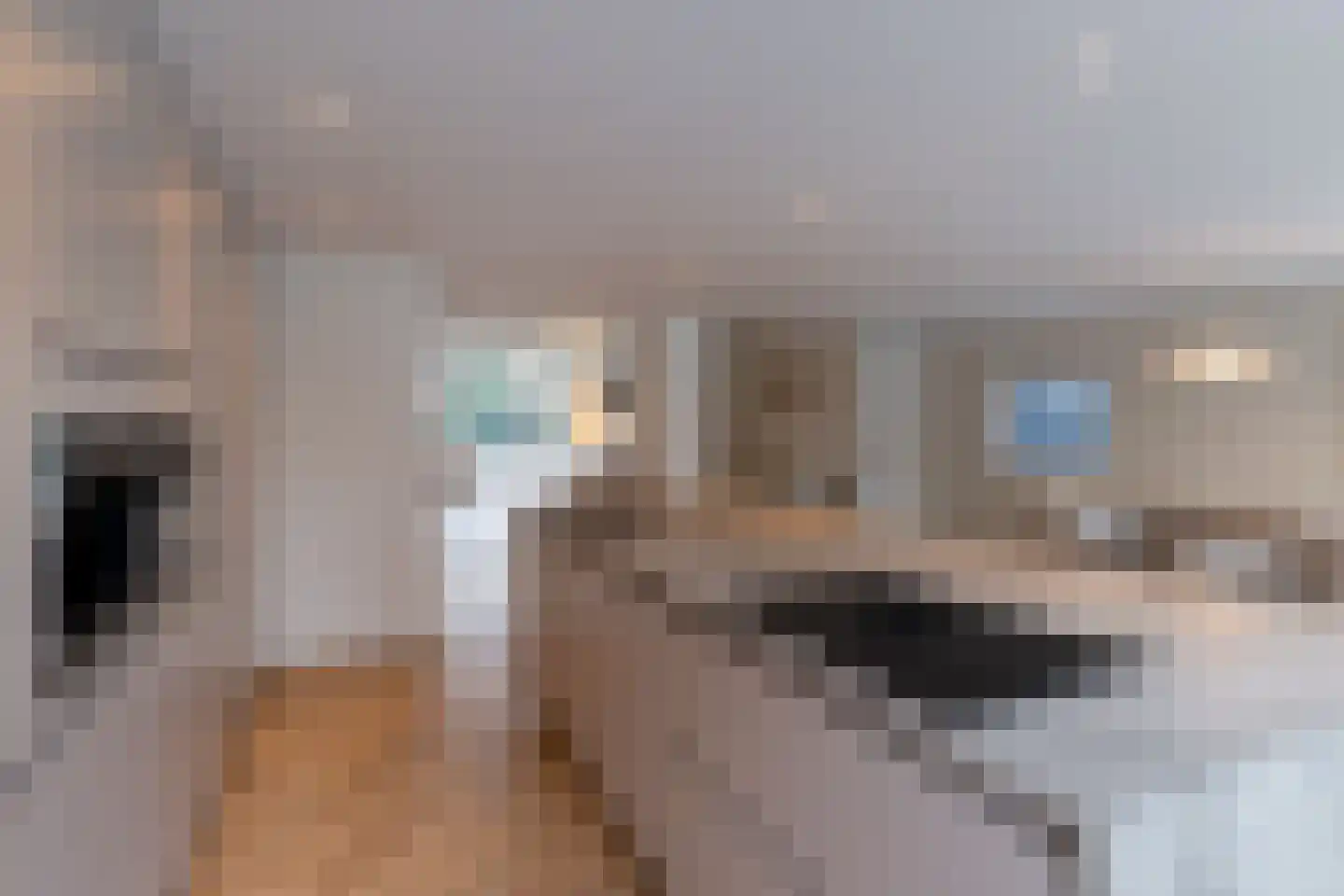 Willibrorduslaan 81 Waalre thumbnail 23