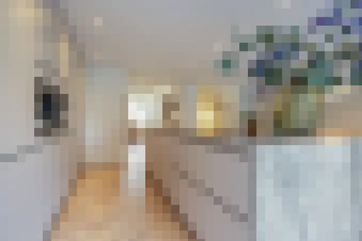 Willibrorduslaan 81 Waalre thumbnail 27
