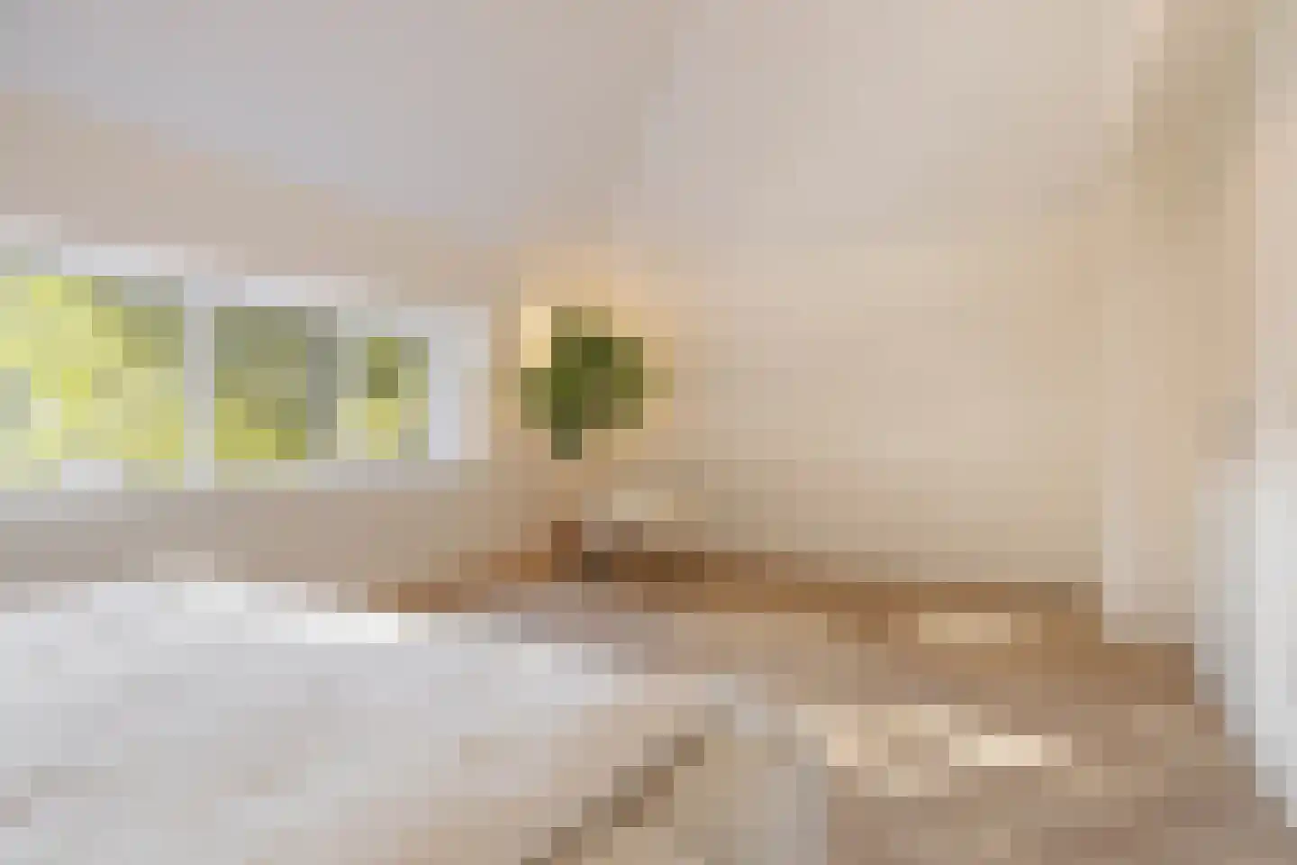 Willibrorduslaan 81 Waalre thumbnail 41