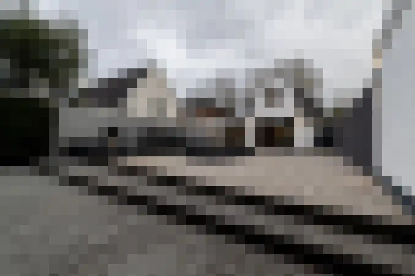 Willibrorduslaan 81 Waalre thumbnail 46
