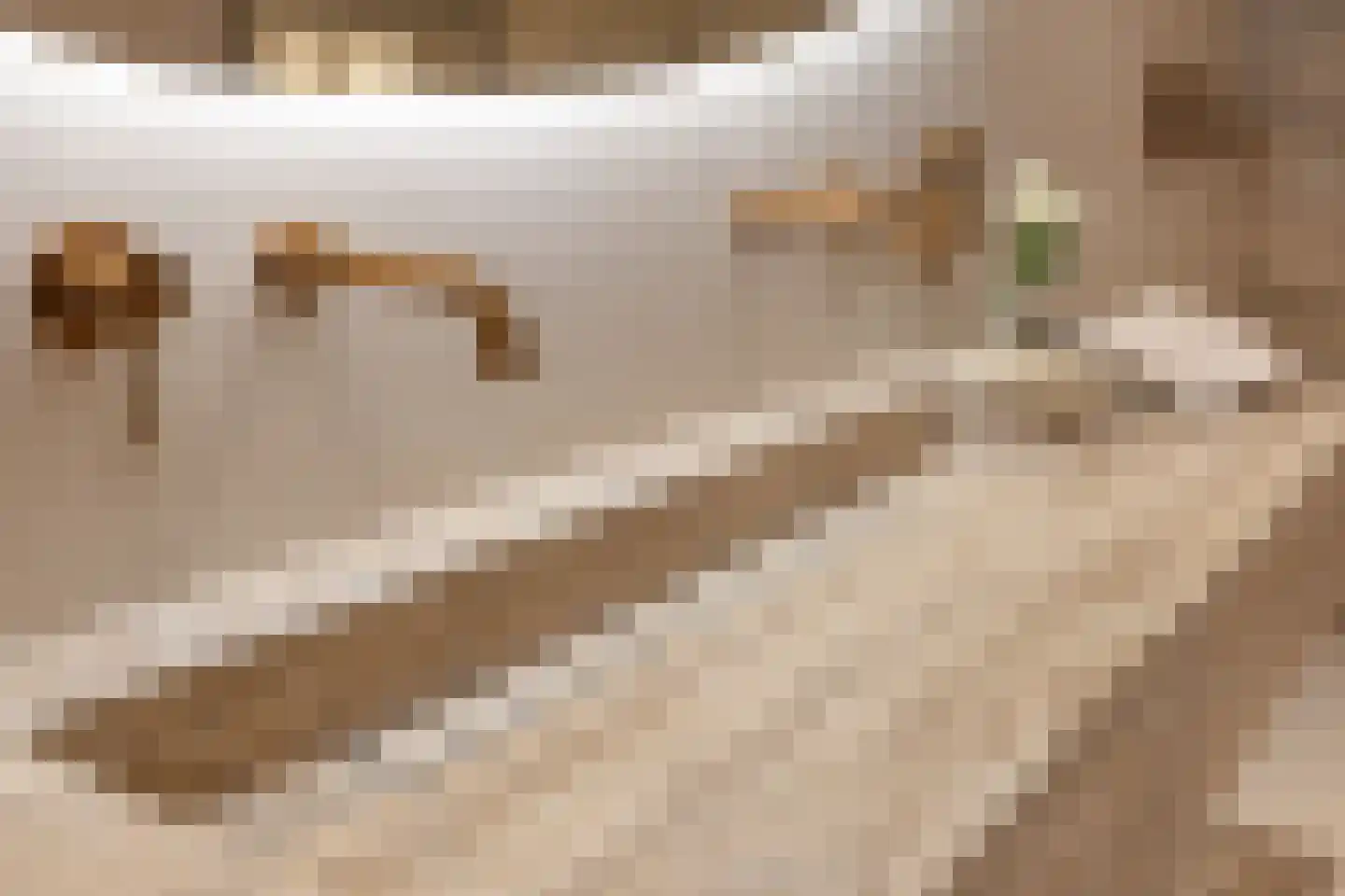 Willibrorduslaan 81 Waalre thumbnail 48