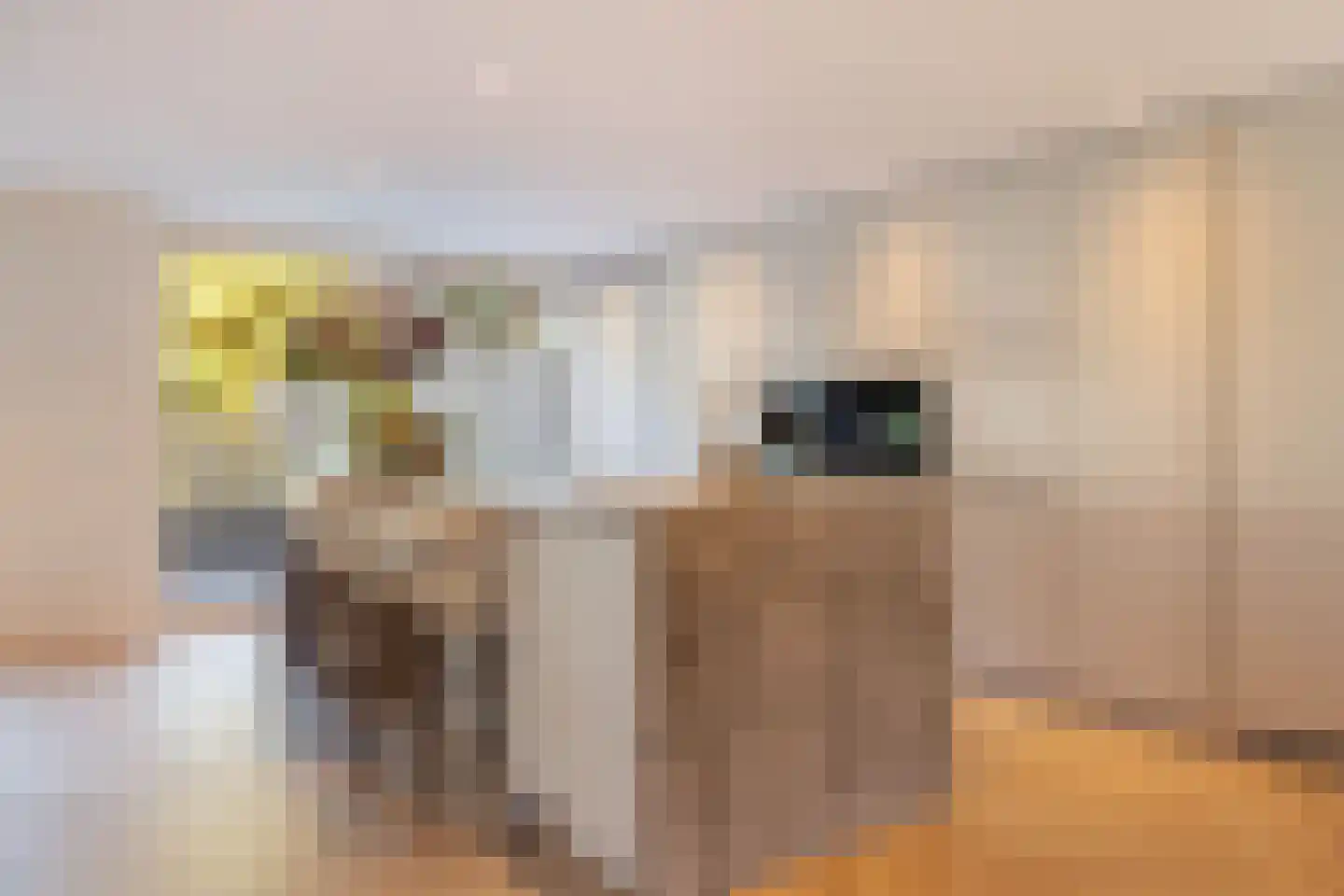 Willibrorduslaan 81 Waalre thumbnail 5