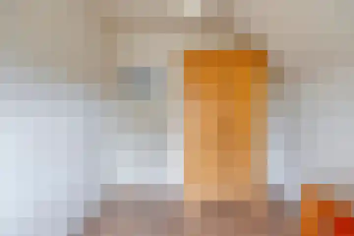 Willibrordusstraat 1 Geffen thumbnail 21