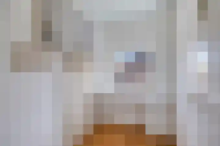 Willibrordusstraat 1 Geffen thumbnail 23