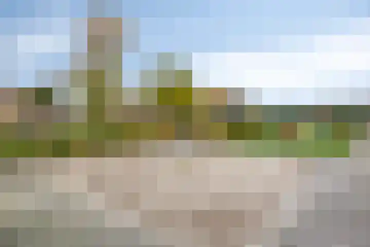 Willibrordusstraat 1 Geffen thumbnail 29
