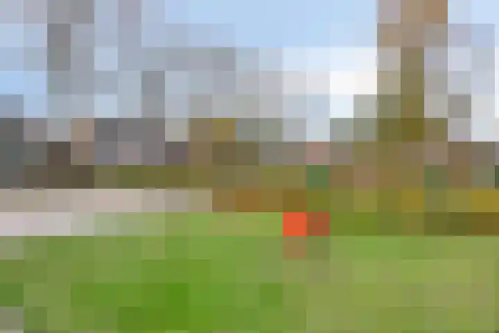 Willibrordusstraat 1 Geffen thumbnail 30