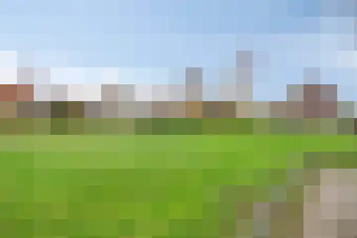 Willibrordusstraat 1 Geffen thumbnail 31