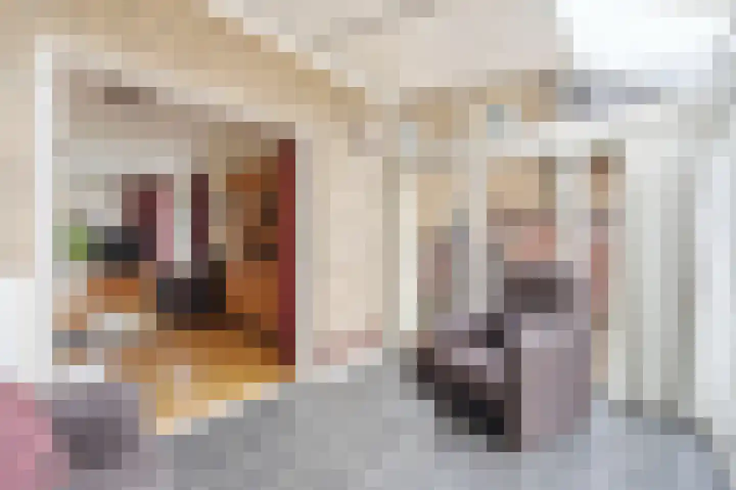 Willibrordusstraat 10 Wilbertoord thumbnail 9