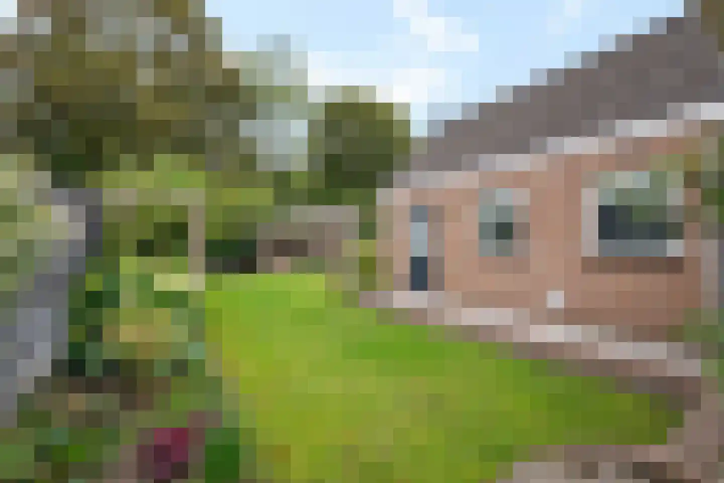 Willibrordusstraat 12 Geffen thumbnail 35