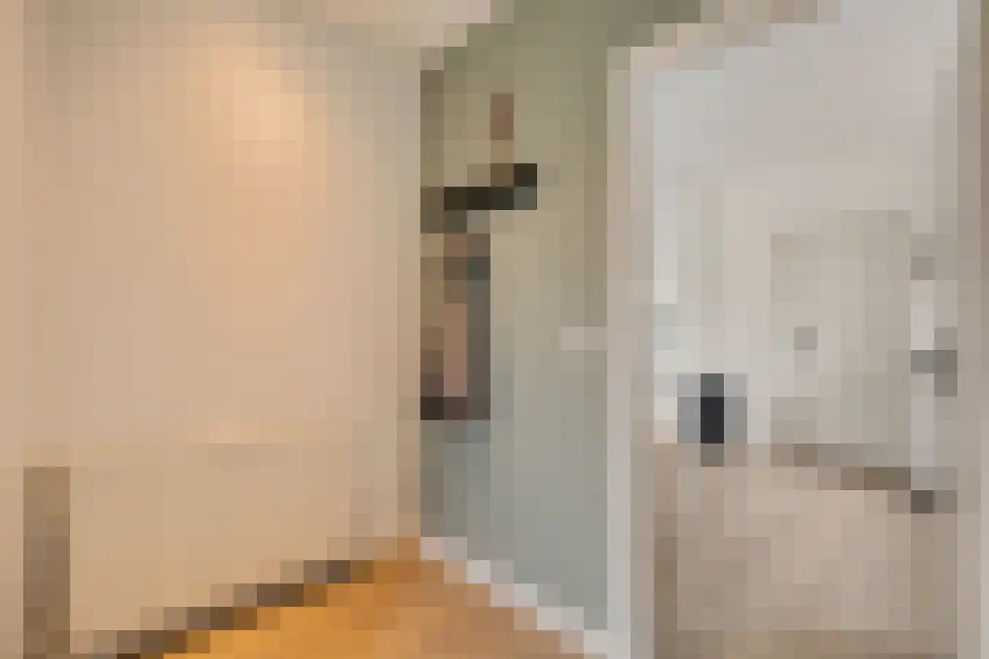 Willibrordusstraat 12 Geffen thumbnail 7