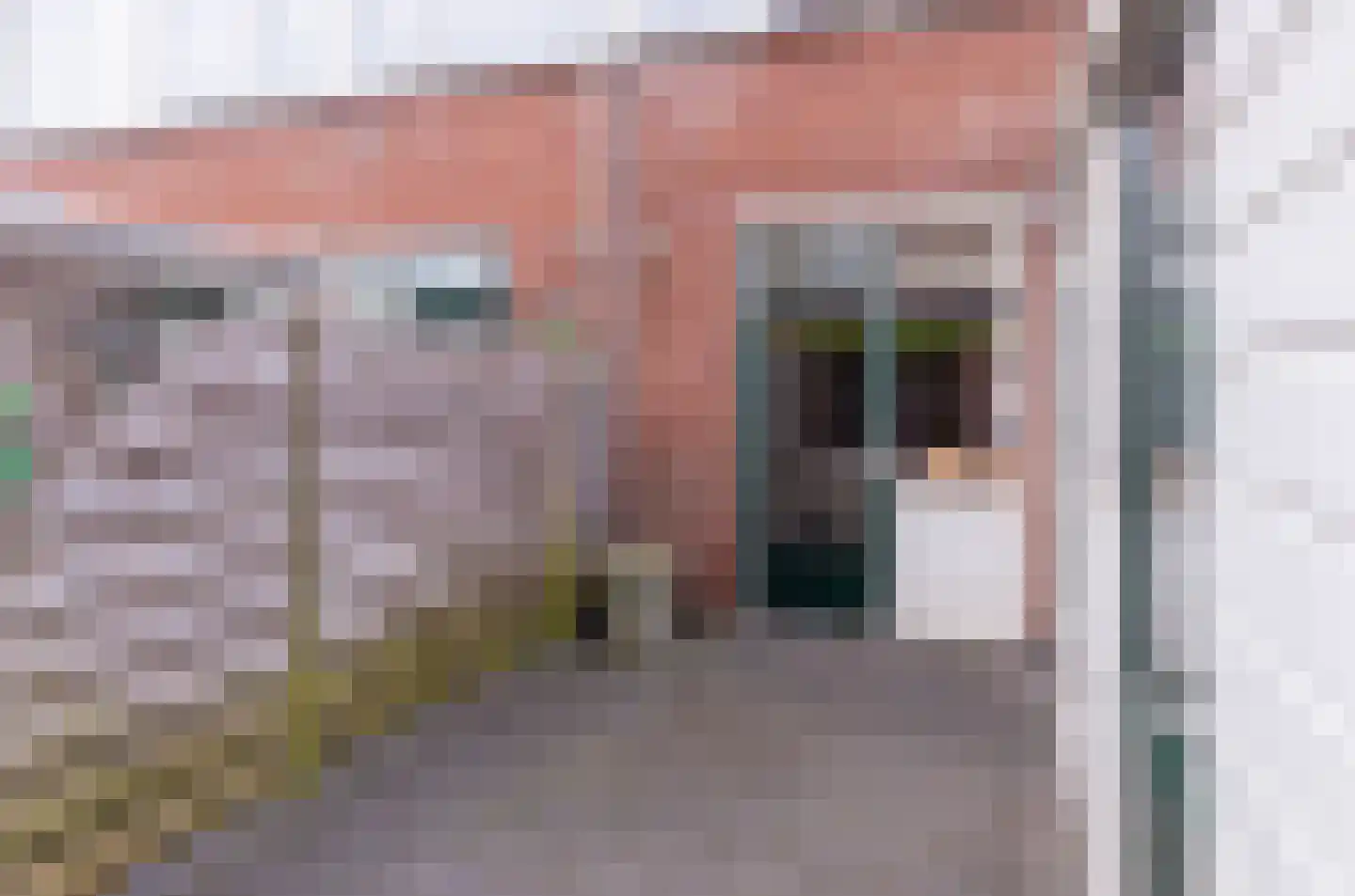 Willibrordusstraat 16 Den Hoorn thumbnail 21