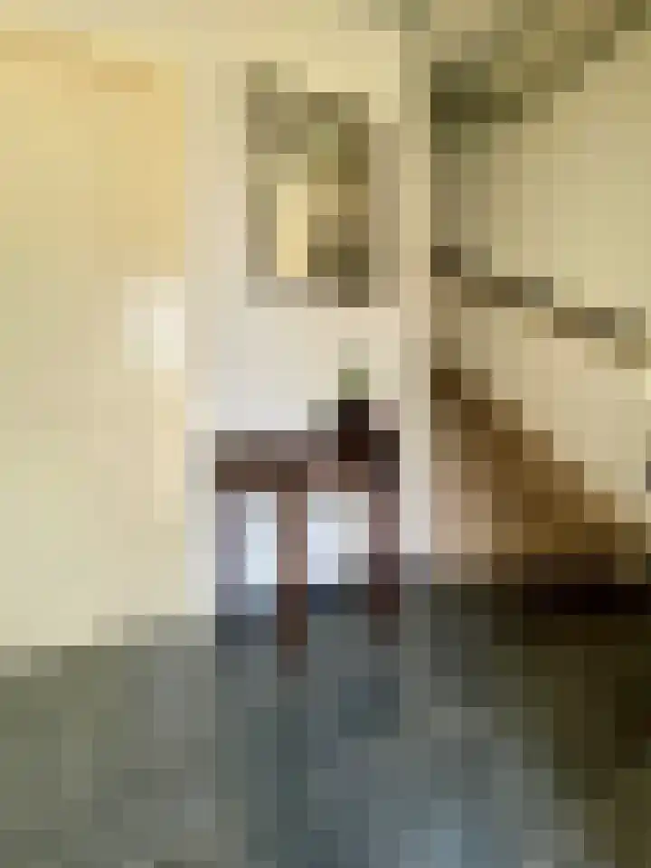 Willibrordusstraat 17 Echt thumbnail 10