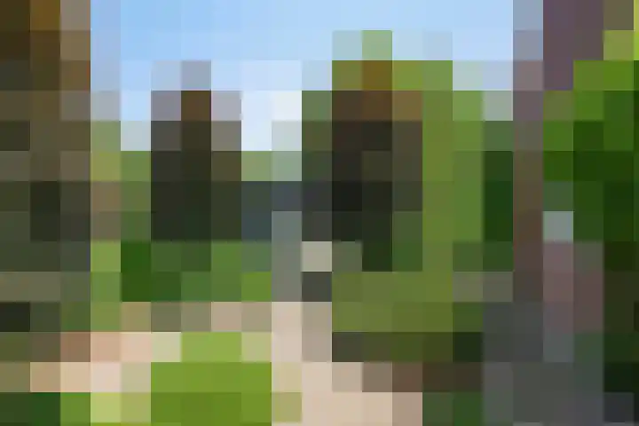 Willibrordusstraat 25 Riethoven thumbnail 24