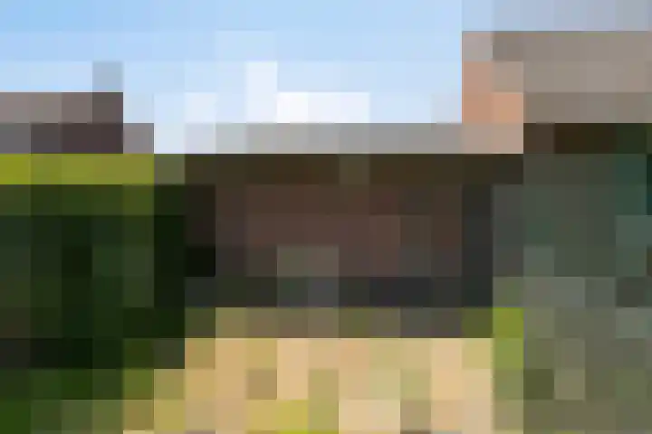 Willibrordusstraat 25 Riethoven thumbnail 25
